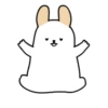 ️Adorable perrito   MOV 22