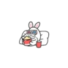 Mini Lovely Puffy Bunny 22