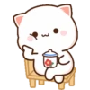 MOCHIS CAT Extra"J" MOV 18