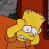 Los Simpson 9 23