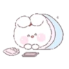 ️jelly rabbit   MOV 19