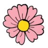 Florecitas lindas 19