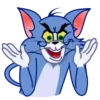 Gato Tom 18