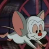 Pinky y Cerebro 18