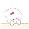 ️jelly rabbit   MOV 20