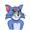 Gato Tom 20