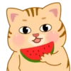 FaT CaT  MiAu MiAu 12