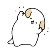 ️Adorable perrito   MOV 23