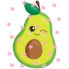 Aguacate 1 21