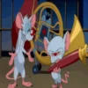 Pinky y Cerebro 19
