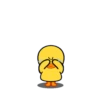 ️Pollito amarillo   MOV 19