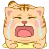 FaT CaT  MiAu MiAu 13