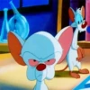Pinky y Cerebro 20