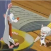 Pinky y Cerebro 21