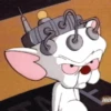 Pinky y Cerebro 23