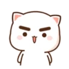 MOCHIS CAT Extra"J" MOV 20