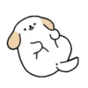 ️Adorable perrito   MOV 26