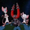 Pinky y Cerebro 24
