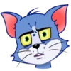 Gato Tom 22