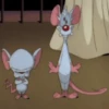 Pinky y Cerebro 26