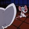 Pinky y Cerebro 28