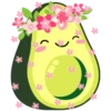 Aguacate 1 24
