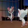 Pinky y Cerebro 29