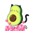 Aguacate 1 26