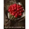 Feliz día Mamá. mov 29