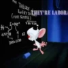 Pinky y Cerebro 30