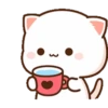 MOCHIS CAT Extra"M" MOV 23