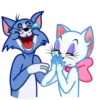 Gato Tom 23