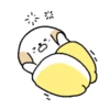 ️Adorable perrito   MOV 28