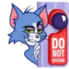 Gato Tom 24