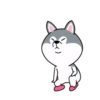 dynamic dog 5