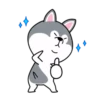 dynamic dog 7