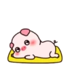 ️Pig daily life  MOV 5