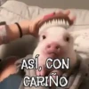 ANIMALITOS1MOV 7