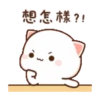 動態蜜桃貓(14) 9