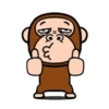 Monkey combination 5