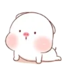 ️Pig gordo2  MOV 5
