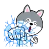 dynamic dog 11