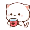 Mochi Pack 13 5