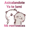 gatitos 7