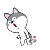 dynamic dog 12