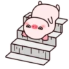 ️Pig daily life  MOV 6