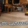 ANIMALITOS1MOV 9