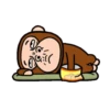 Monkey combination 6