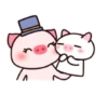 ️Pig daily life  MOV 8