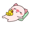 ️Pig daily life  MOV 9